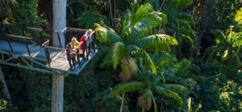 attractions